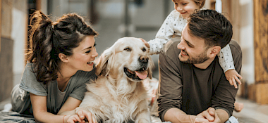 Vijf belangrijkste punten bij het kiezen van een zorgverzekering