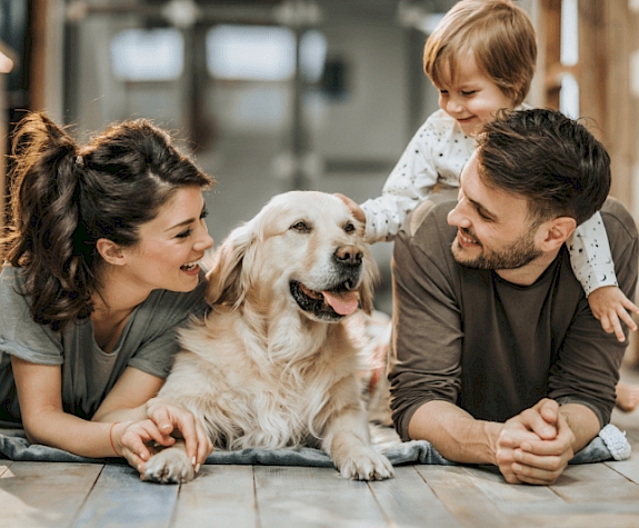 Vijf belangrijkste punten bij het kiezen van een zorgverzekering